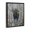 Stupell Industries Moose in Winter Birch Forest Floating Frame, design by James Corwin